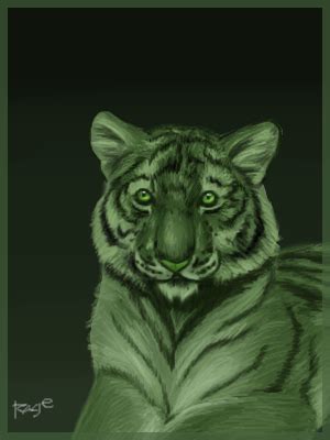 Beast Boy Tiger by Razernij on DeviantArt