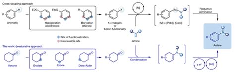 azo dye synthesis from aniline