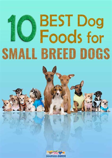 Top 14 Healthiest & Best Dog Food for Small Dogs in 2022