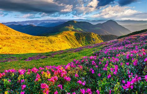 Wallpaper Spring Landscape Pictures - Popular Century