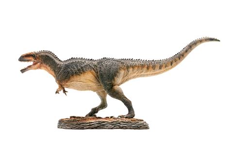 Buy PNSO Dinosaur Museums Series (Lucas The Giganotosaurus 1:35 ...