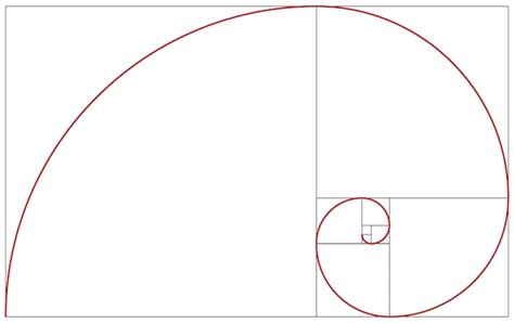 Premium Vector | Fibonacci spiral Golden ratio