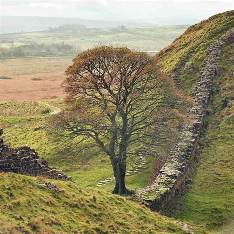 Sycamore Gap, Hadrian's Wall, Northumberland National Park - Simon ...