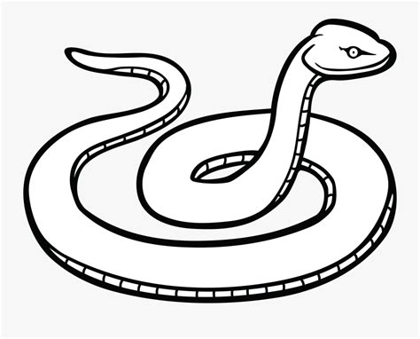 Line Art,serpent,coloring Animal,clip Art,tail,scaled - Snake Black And ...