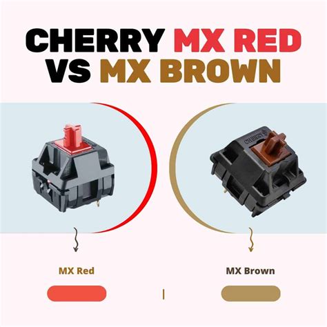 Cherry MX Red vs MX Brown (Everything you Need to Know) - How to Type ...