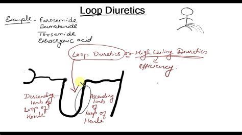 Loop Diuretics simple explaination in Hindi | Bhushan Science - YouTube