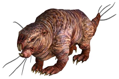 Mole rat | Fallout Wiki | FANDOM powered by Wikia