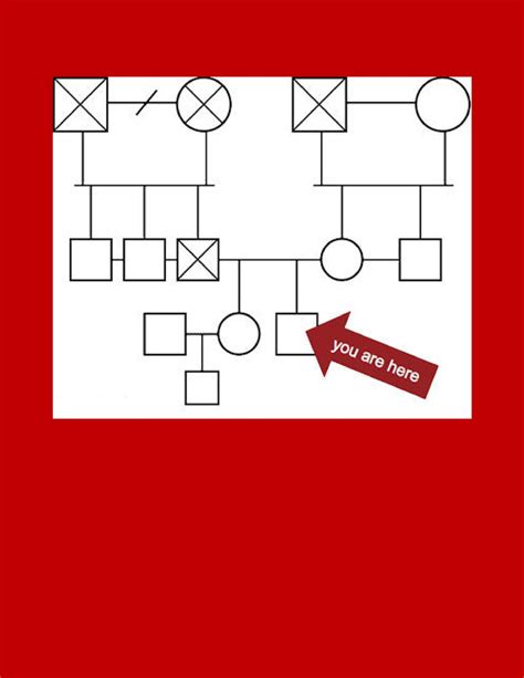 Genogram Template Free Download