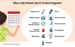 Why Is My Period Late Quiz