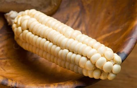 History-Images | Native american food, Native foods, American corn