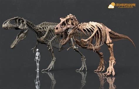 ArtStation - Giganotosaurus & Tyrannosaurus skeleton by. Vitamin ...