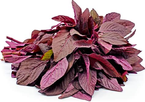 Fresh Red Amaranth Leaves Manufacturer in Nashik Maharashtra India by ...