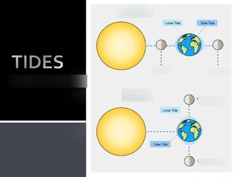 Spring and Neap Tide diagram Diagram | Quizlet