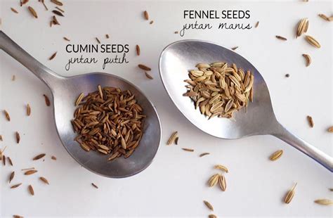 Fennel seeds (Jintan manis) & Cumin (Jintan putih) - New Malaysian Kitchen