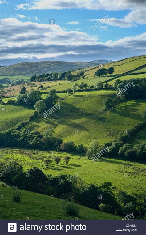 Summer fields in the Glenelly Valley, Sperrin Mountains, County Tyrone ...