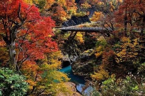 Bridge in Autumn [900x597] | Autumn in japan, Asia travel, Nature