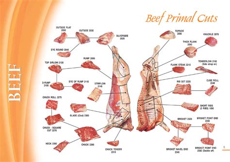 Beef Cuts | Bundy Farm