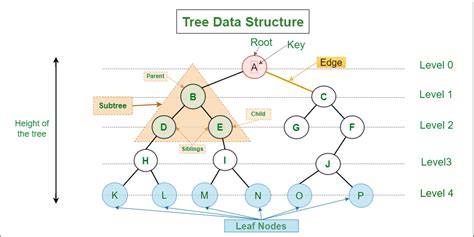 Introduction to Binary Tree - Data Structure and Algorithm Tutorials ...