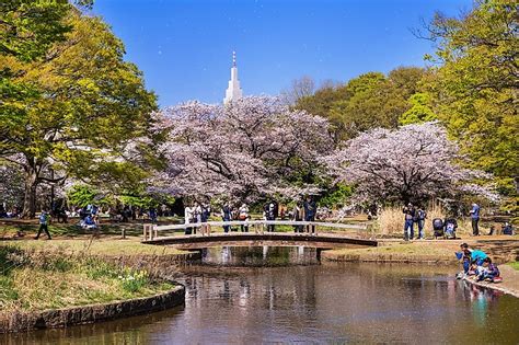 Yoyogi Park - WorldAtlas