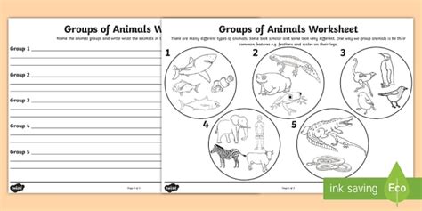 Animal Groups Worksheet - Animals Worksheet (teacher made)