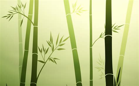 60+ Bamboo HD Wallpaper e Sfondi