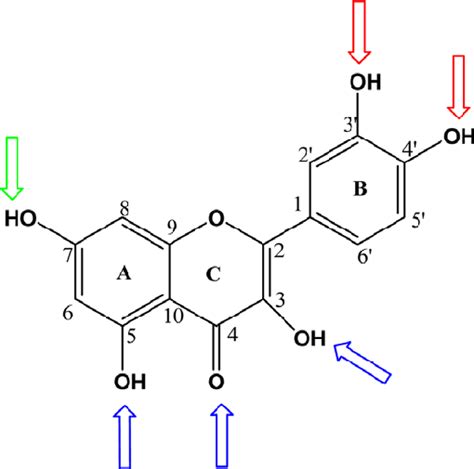 Typical structure of polyphenol aglycone. The arrows indicate the ...