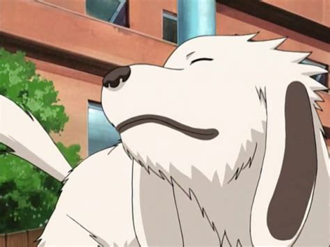 who owns akamaru? - The Naruto Trivia Quiz - Fanpop