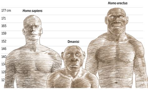 Meet the frail, small-brained people who first trekked out of Africa ...