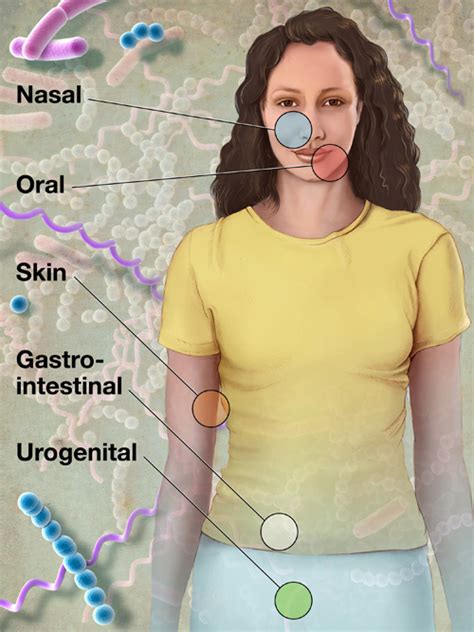 NIH Expands Human Microbiome Project; Funds Sequencing Centers and ...