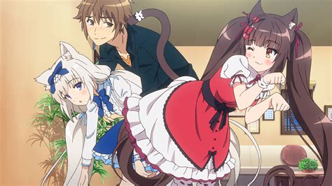 Nekopara OVA Media Review | Anime Solution