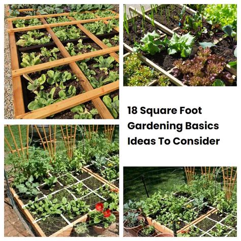 18 Square Foot Gardening Basics Ideas To Consider | SharonSable