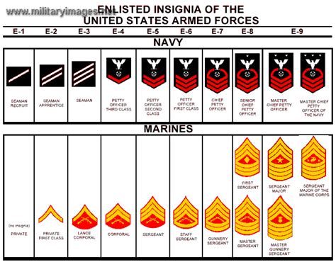 Navy Enlisted Promotion List 2024 - Aliza Paulie