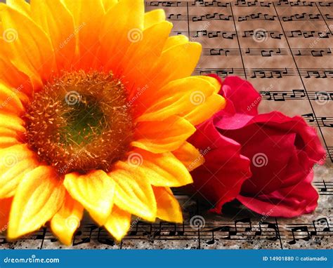 Music Flowers Stock Photo - Image: 14901880