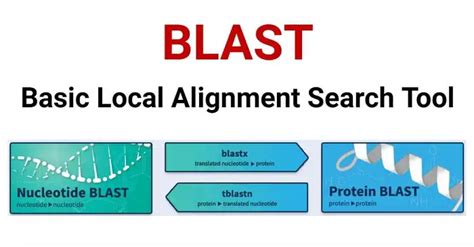 Basic Local Alignment Search Tool (BLAST): Types and Features