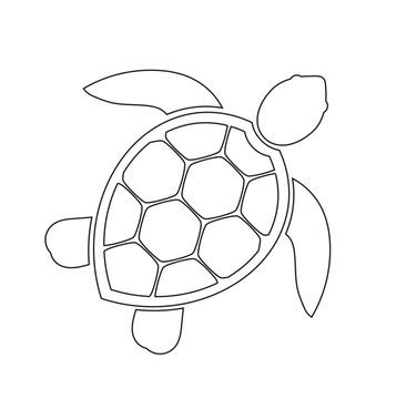 How To Draw A Sea Turtle Step By Step