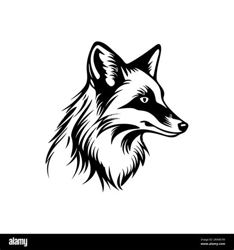 Fox head outline sketch vector. Hand drawn linear illustration ...