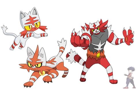 Litten Shiny/ Litten Humano | Wiki | •Anime• Amino