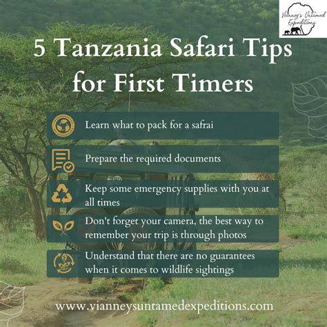 5 Tanzania Safari Tips For First Timers by vianneysuntamed on DeviantArt