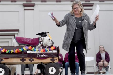 University of Redlands’ beloved bulldog mascot, Thurber, dies from ...