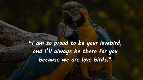 2024 Love Birds Quotes To Say "we Are Love Birds"