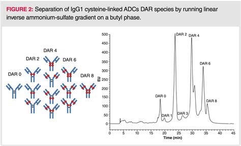 Hydrophobic Interaction Chromatography (HIC) for the Characterization ...