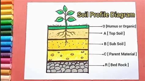 Soil Profile Diagram drawing | Layer of Soil drawing | How to draw ...