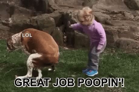 "Dog Great Job GIF" – "Dog Great Job Poop" – знаходьте анімації GIF і ...