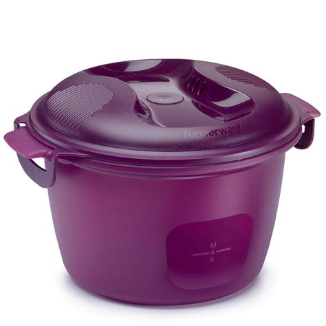 12 Incredible Tupperware Rice Cooker For 2024 | Storables