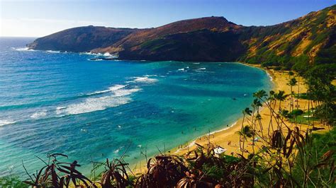 Coral Bleaching Threatens One of Hawaii's Most Popular Coral Reefs ...