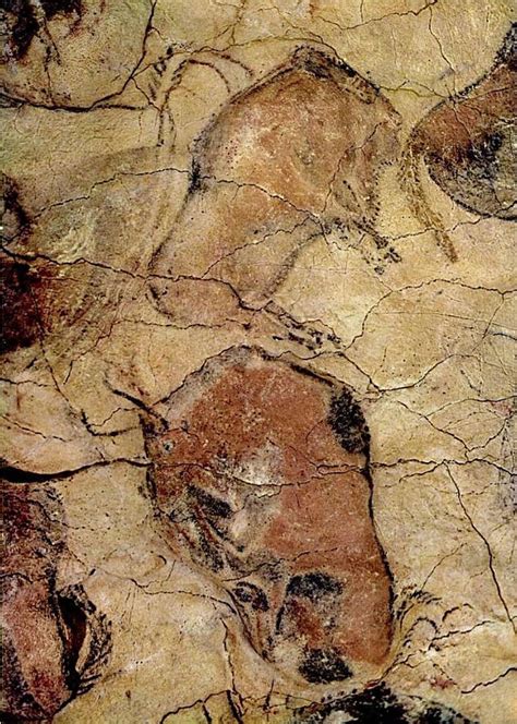 Altamira Cave Paintings | Cave paintings, Prehistoric cave paintings ...