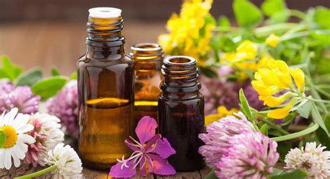 Aromatherapy Oils Definition and Guide | AromaWeb