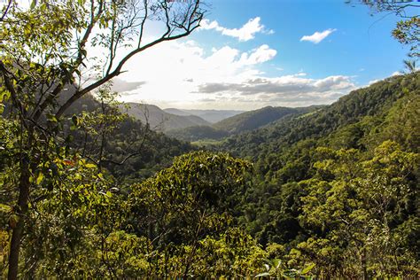 Sunshine Coast Hinterland - The Aussie Nomad