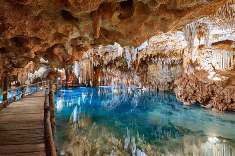 11 Best Cenotes Near Playa del Carmen [2024]