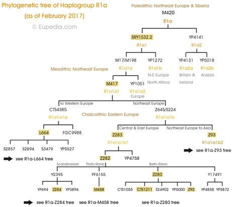 Phylogenetic tree of haplogroup R1a (Y-DNA) - Eupedia Phylogenetic Tree ...